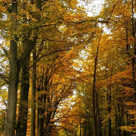 Апартаменты Z Balkonem *