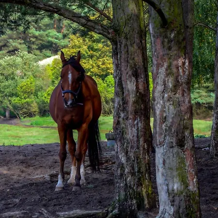 Appartamento Z Balkonem