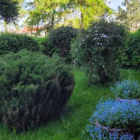 Appartement Z Balkonem Sztum