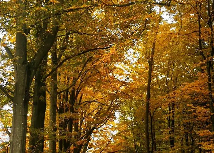 Apartmán Z Balkonem *