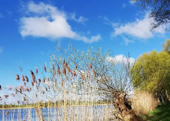 Z Balkonem Apartmán