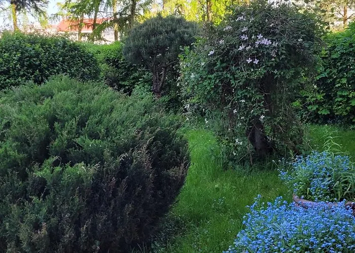 Lägenhet Z Balkonem Sztum